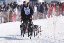 Lenk 2013